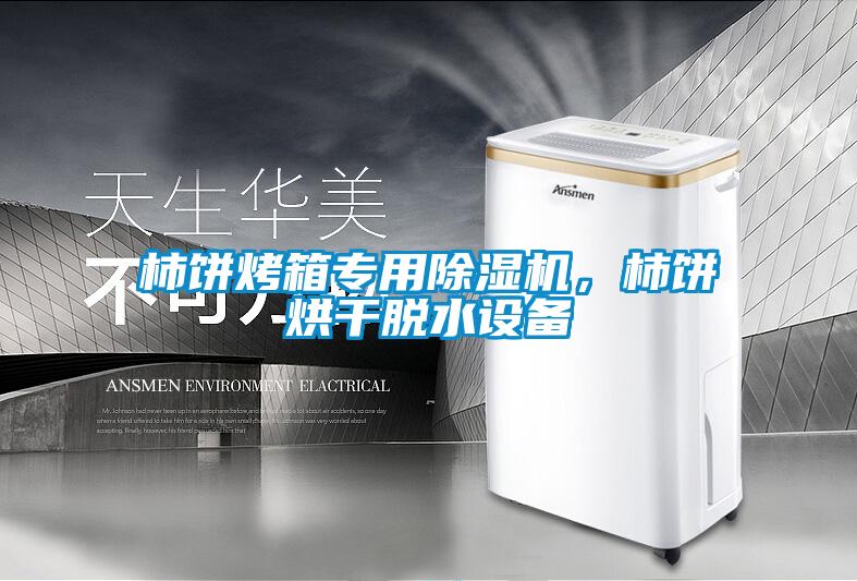 柿餅烤箱專用除濕機(jī),柿餅烘干脫水設(shè)備