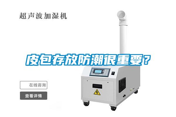 皮包存放防潮很重要？