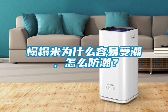 榻榻米為什么容易受潮，怎么防潮？