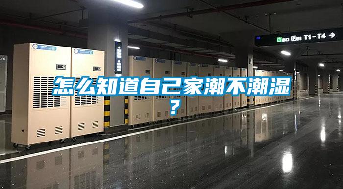 怎么知道自己家潮不潮濕？