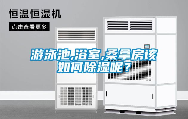 游泳池,浴室,桑拿房該如何除濕呢？