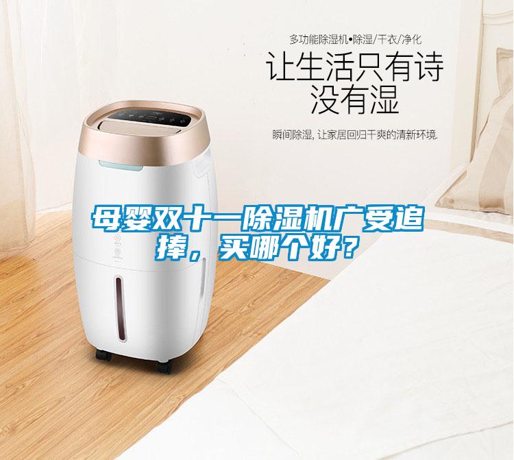 母嬰雙十一除濕機(jī)廣受追捧，買哪個(gè)好？