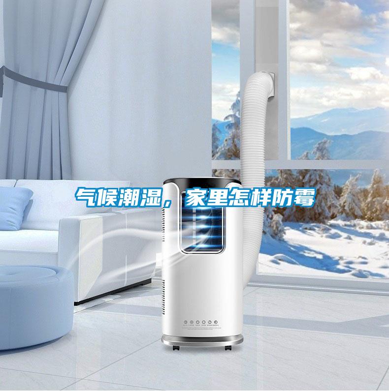 氣候潮濕，家里怎樣防霉