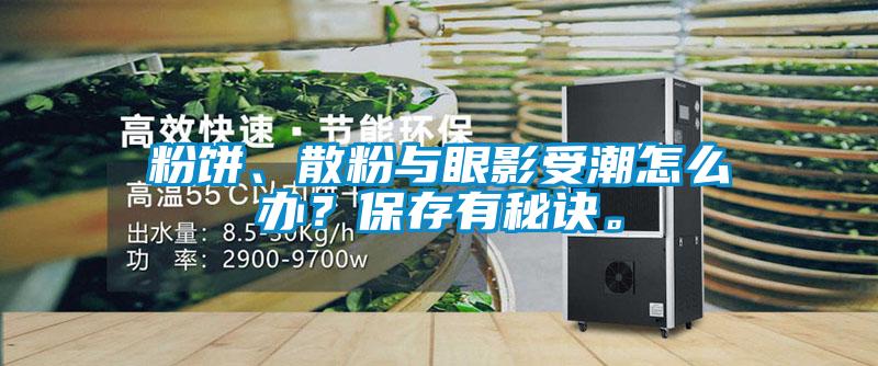 粉餅、散粉與眼影受潮怎么辦？保存有秘訣。