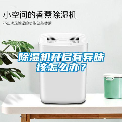除濕機(jī)開啟有異味該怎么辦？
