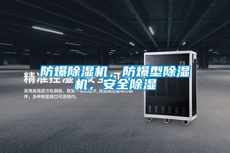 防爆除濕機(jī)，防爆型除濕機(jī)，安全除濕