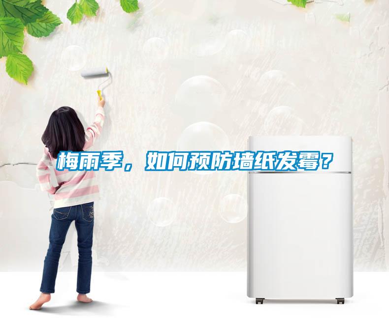 梅雨季,如何預(yù)防墻紙發(fā)霉?