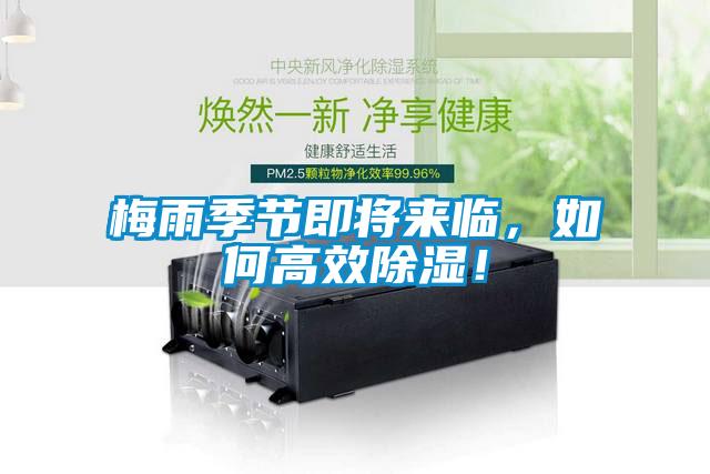 梅雨季節(jié)即將來臨，如何高效除濕！