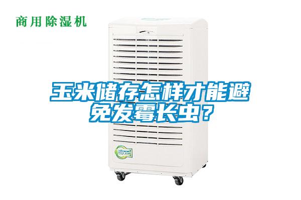 玉米儲(chǔ)存怎樣才能避免發(fā)霉長(zhǎng)蟲(chóng)？