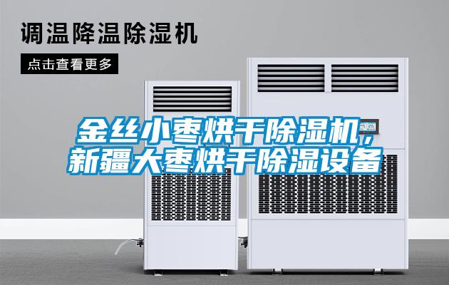 金絲小棗烘干除濕機，新疆大棗烘干除濕設備