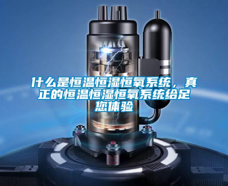 什么是恒溫恒濕恒氧系統(tǒng)，真正的恒溫恒濕恒氧系統(tǒng)給足您體驗