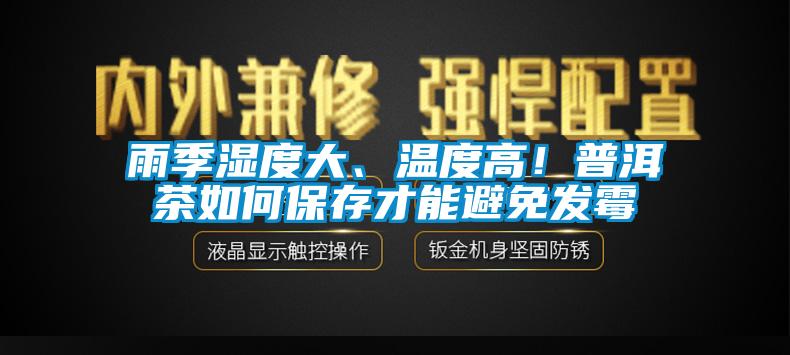 雨季濕度大、溫度高！普洱茶如何保存才能避免發(fā)霉