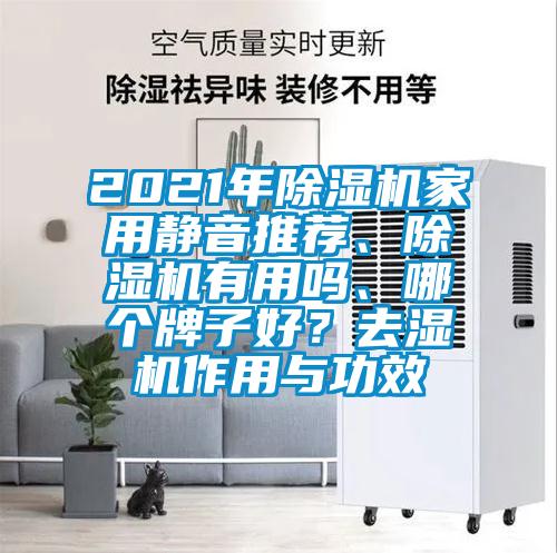 2021年除濕機(jī)家用靜音推薦、除濕機(jī)有用嗎、哪個(gè)牌子好？去濕機(jī)作用與功效