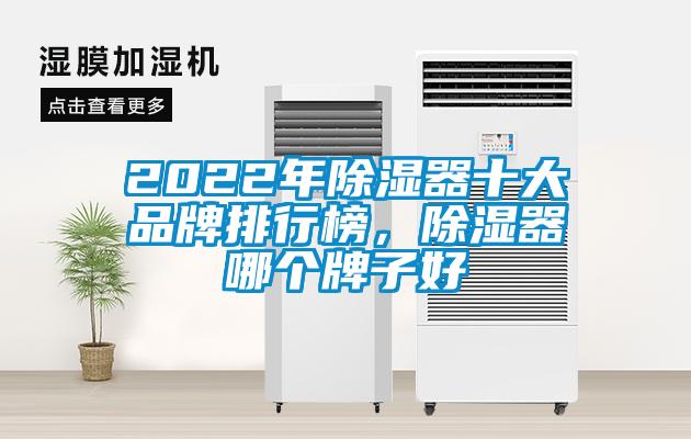 2022年除濕器十大品牌排行榜，除濕器哪個(gè)牌子好