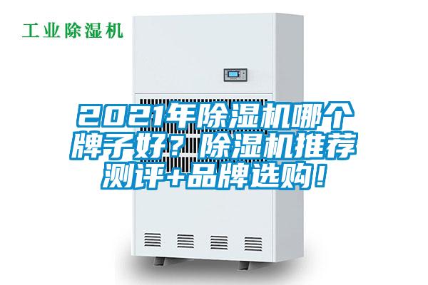 2021年除濕機哪個牌子好？除濕機推薦測評+品牌選購！