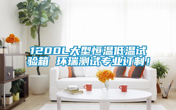 1200L大型恒溫低溫試驗(yàn)箱 環(huán)瑞測試專業(yè)訂制！