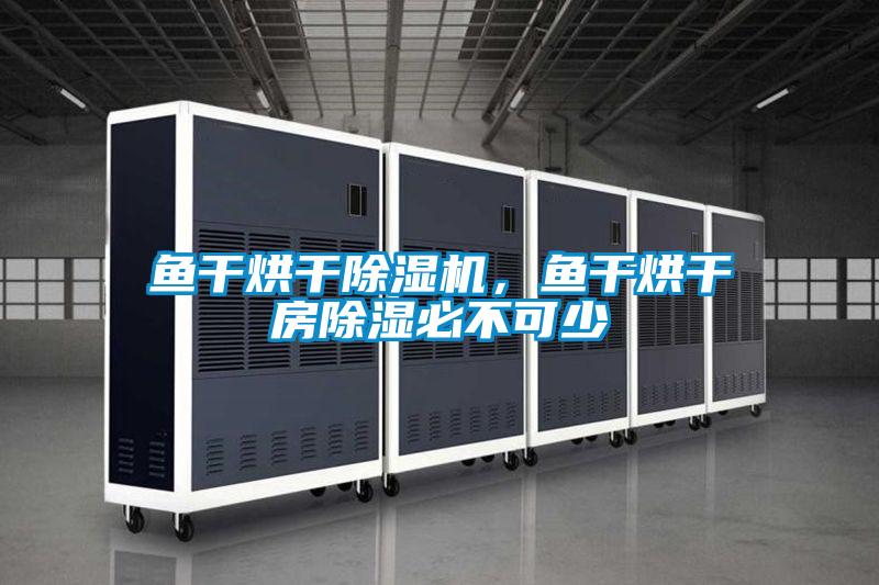 魚干烘干除濕機(jī)，魚干烘干房除濕必不可少