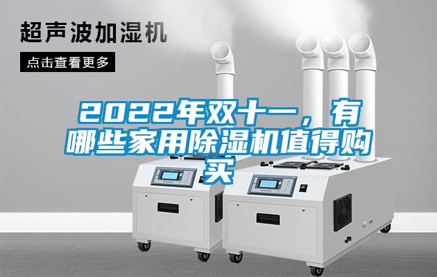 2022年雙十一，有哪些家用除濕機(jī)值得購(gòu)買