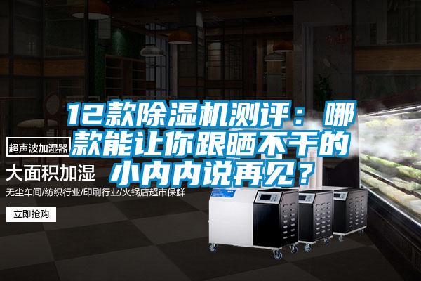 12款除濕機(jī)測評：哪款能讓你跟曬不干的小內(nèi)內(nèi)說再見？