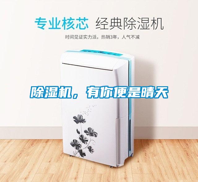 除濕機，有你便是晴天