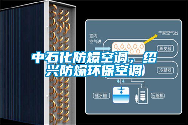 中石化防爆空調(diào)，紹興防爆環(huán)?？照{(diào)