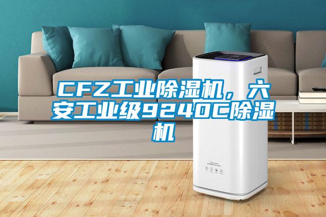 CFZ工業(yè)除濕機(jī)，六安工業(yè)級(jí)9240C除濕機(jī)