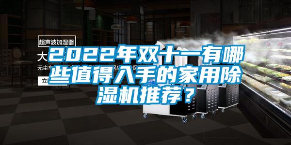 2022年雙十一有哪些值得入手的家用除濕機(jī)推薦？