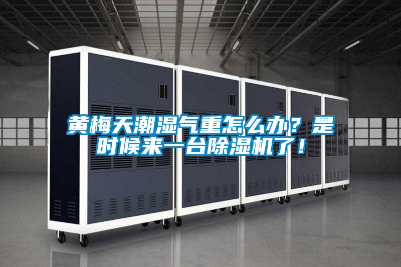 黃梅天潮濕氣重怎么辦？是時候來一臺除濕機了！