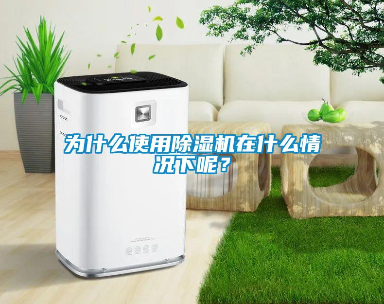 為什么使用除濕機(jī)在什么情況下呢？