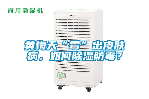 黃梅天“霉”出皮膚病，如何除濕防霉？