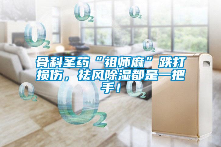 骨科圣藥“祖師麻”跌打損傷，祛風(fēng)除濕都是一把手！