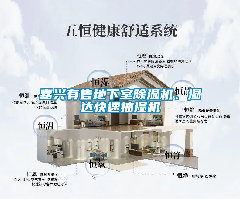 嘉興有售地下室除濕機、濕達快速抽濕機