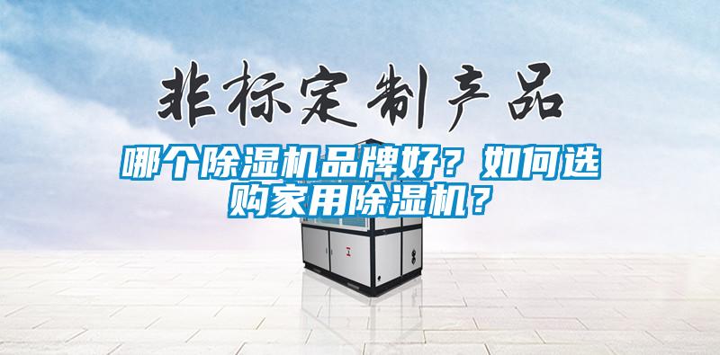 哪個(gè)除濕機(jī)品牌好？如何選購(gòu)家用除濕機(jī)？