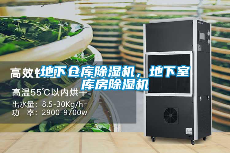 地下倉庫除濕機(jī)，地下室?guī)旆砍凉駲C(jī)