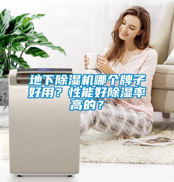 地下除濕機(jī)哪個牌子好用？性能好除濕率高的？