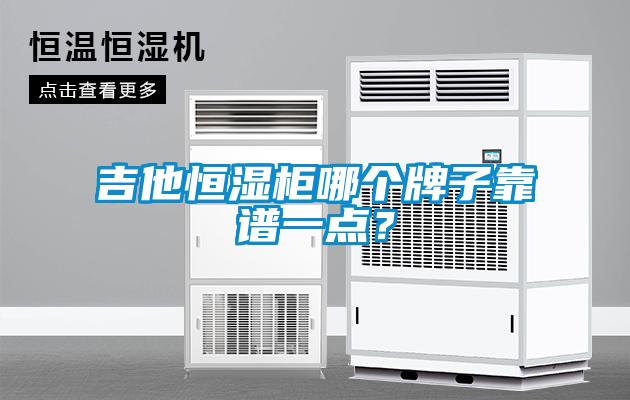 吉他恒濕柜哪個牌子靠譜一點？