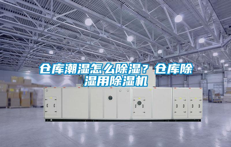 倉庫潮濕怎么除濕？倉庫除濕用除濕機(jī)