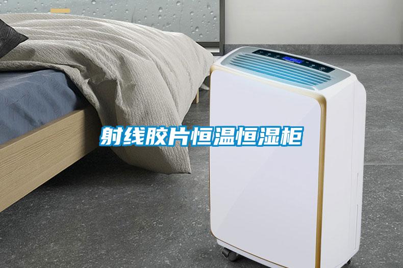 射線(xiàn)膠片恒溫恒濕柜