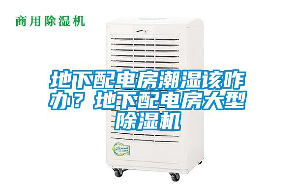 地下配電房潮濕該咋辦？地下配電房大型除濕機
