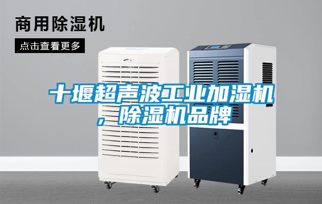 十堰超聲波工業(yè)加濕機(jī)，除濕機(jī)品牌