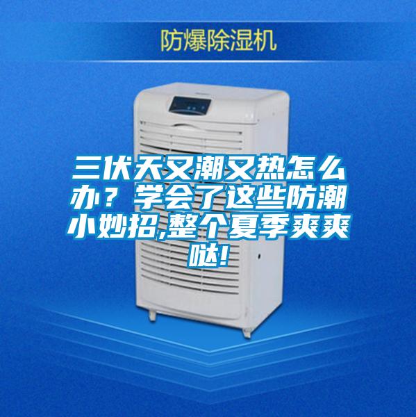 三伏天又潮又熱怎么辦？學會了這些防潮小妙招,整個夏季爽爽噠!