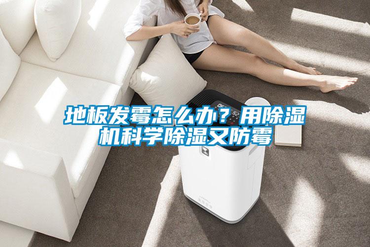 地板發(fā)霉怎么辦？用除濕機科學除濕又防霉