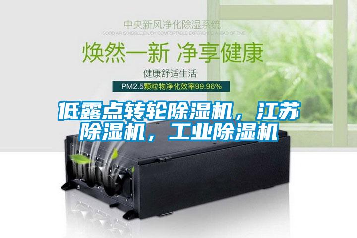 低露點轉(zhuǎn)輪除濕機，江蘇除濕機，工業(yè)除濕機