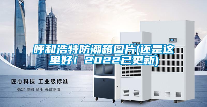 呼和浩特防潮箱圖片(還是這里好！2022已更新)