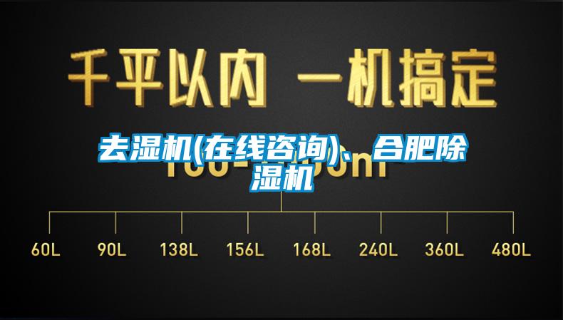 去濕機(在線咨詢)、合肥除濕機