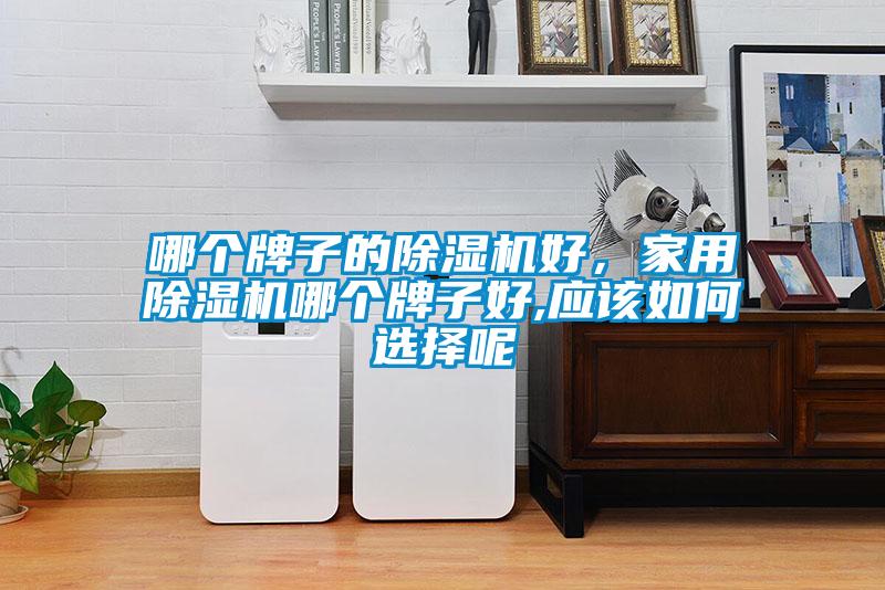 哪個牌子的除濕機好，家用除濕機哪個牌子好,應(yīng)該如何選擇呢