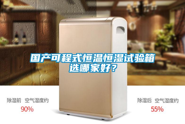 國(guó)產(chǎn)可程式恒溫恒濕試驗(yàn)箱選哪家好？