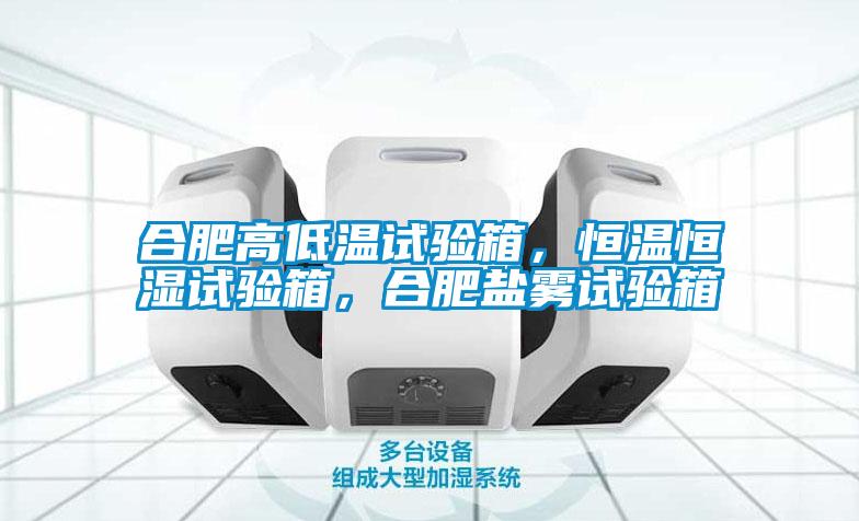合肥高低溫試驗(yàn)箱，恒溫恒濕試驗(yàn)箱，合肥鹽霧試驗(yàn)箱