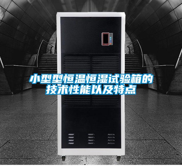 小型型恒溫恒濕試驗箱的技術(shù)性能以及特點(diǎn)
