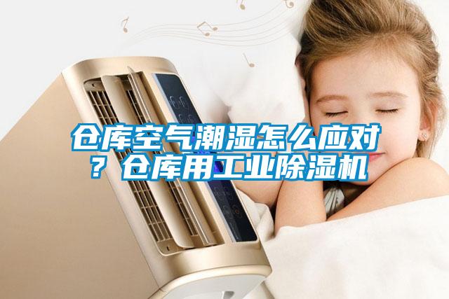 倉(cāng)庫(kù)空氣潮濕怎么應(yīng)對(duì)？倉(cāng)庫(kù)用工業(yè)除濕機(jī)